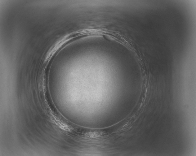 X0000086000103200703231156