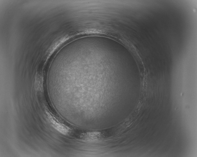 X0000086000108200703231155