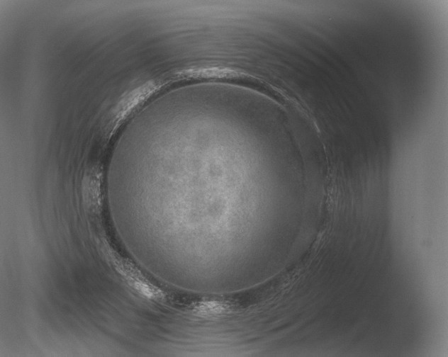 X0000086000111200703231155