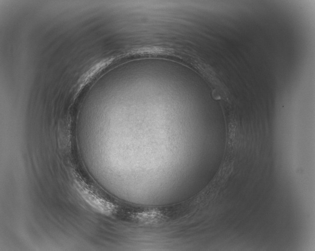 X0000086000112200703231155