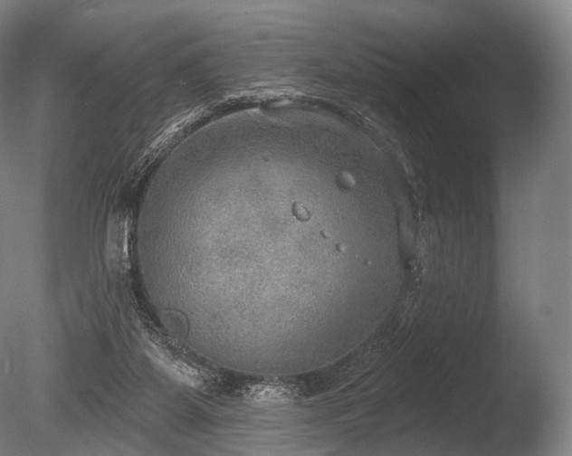 X0000086000115200703231155