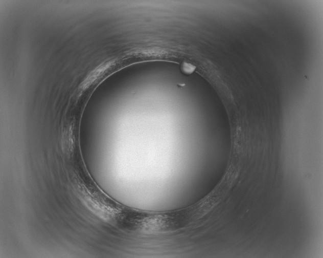 X0000086000116200703231155