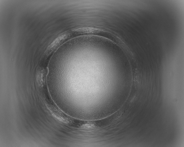 X0000086000119200703231155