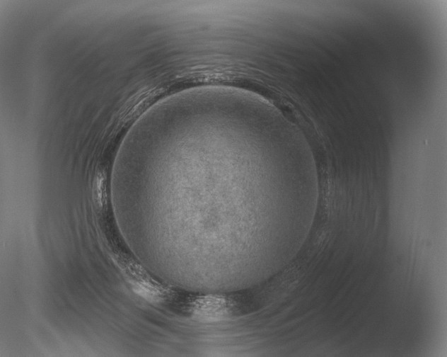 X0000086000123200703231155