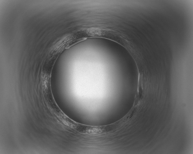 X0000086000125200703231155