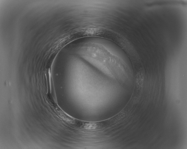 X0000086000127200703231155