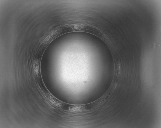 X0000086000129200703231155