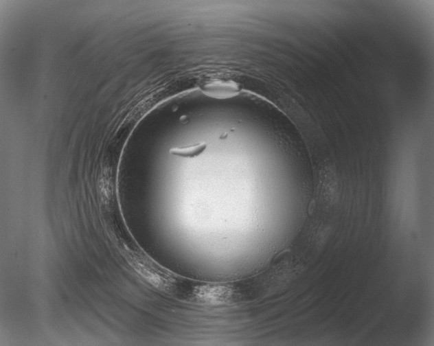 X0000086000135200703231155