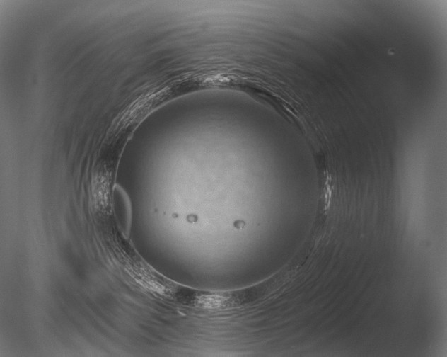 X0000086000139200703231155