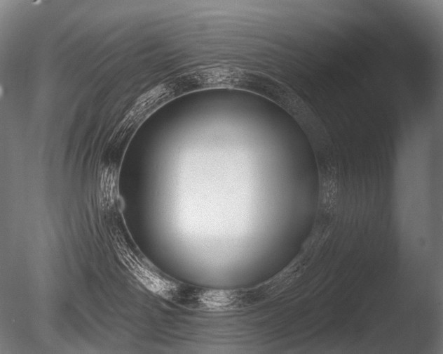 X0000086000142200703231155