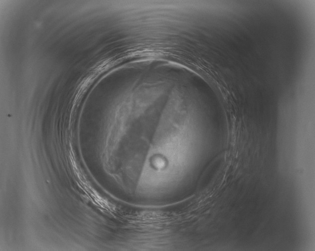 X0000086000145200703231154