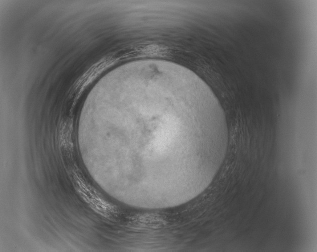 X0000086000146200703231154