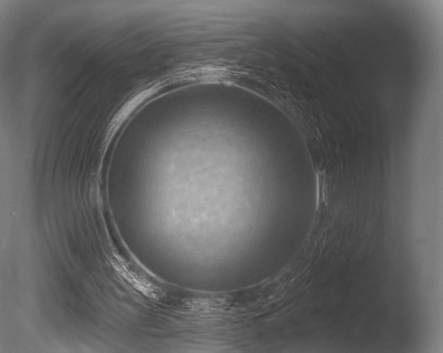 X0000086000147200703231154