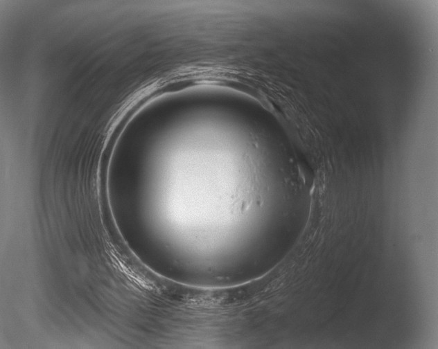 X0000086000148200703231154