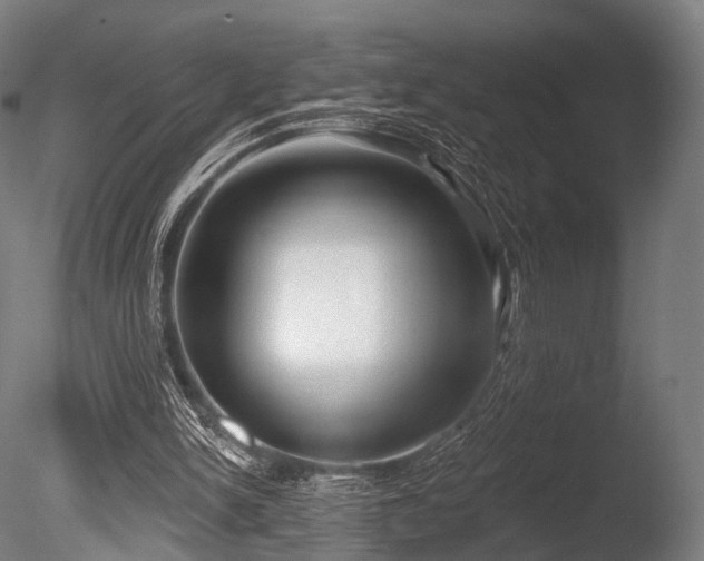 X0000086000150200703231154