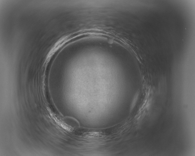 X0000086000151200703231154