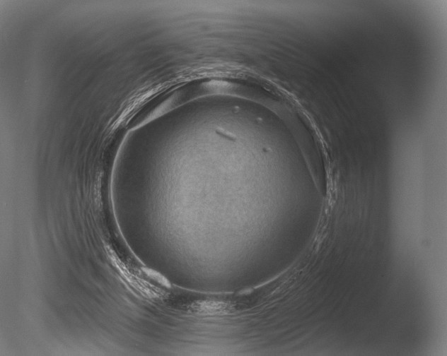 X0000086000154200703231154