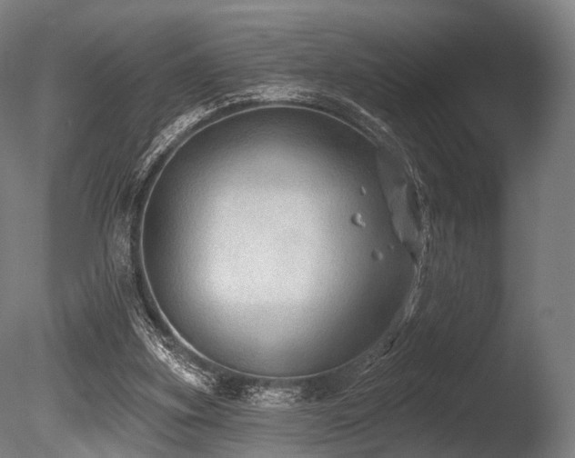 X0000086000155200703231154