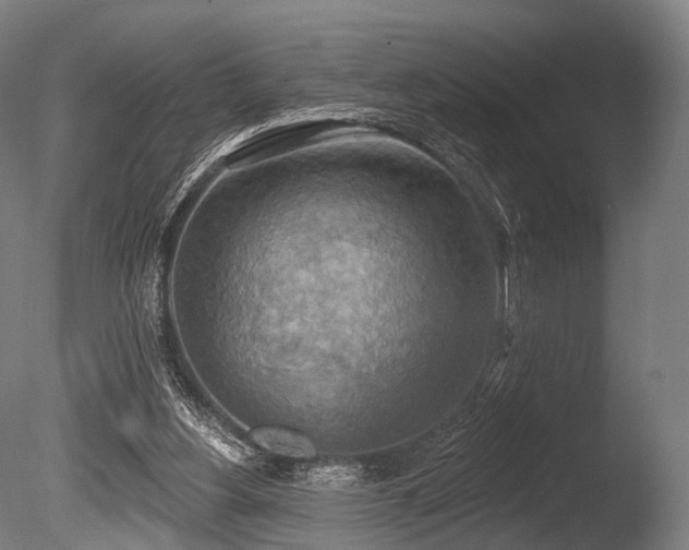 X0000086000156200703231154