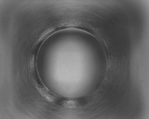 X0000086000163200703231154