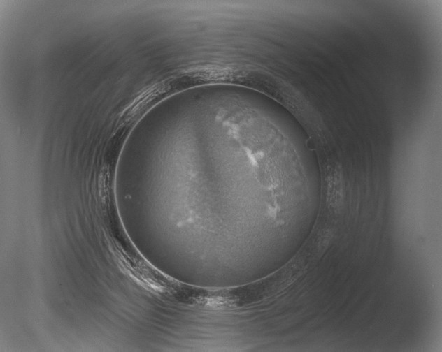 X0000086000165200703231154