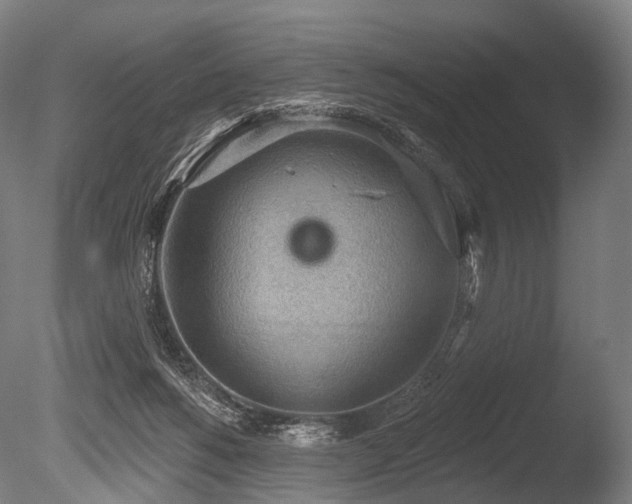 X0000086000168200703231154