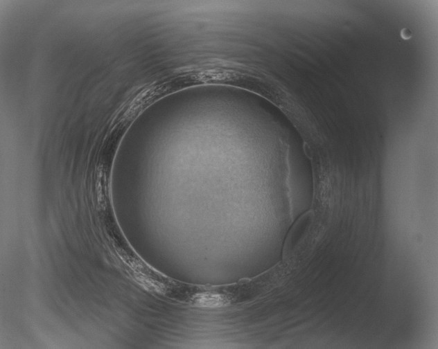 X0000086000169200703231154