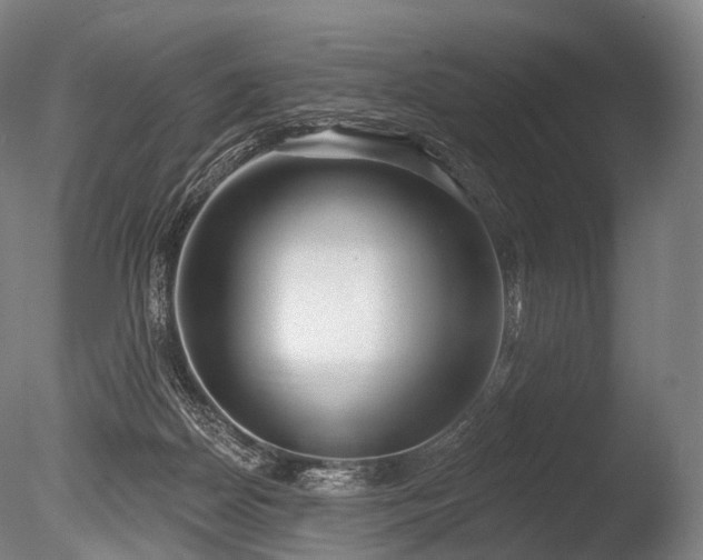 X0000086000170200703231154