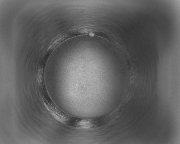 X0000086000171200703231154