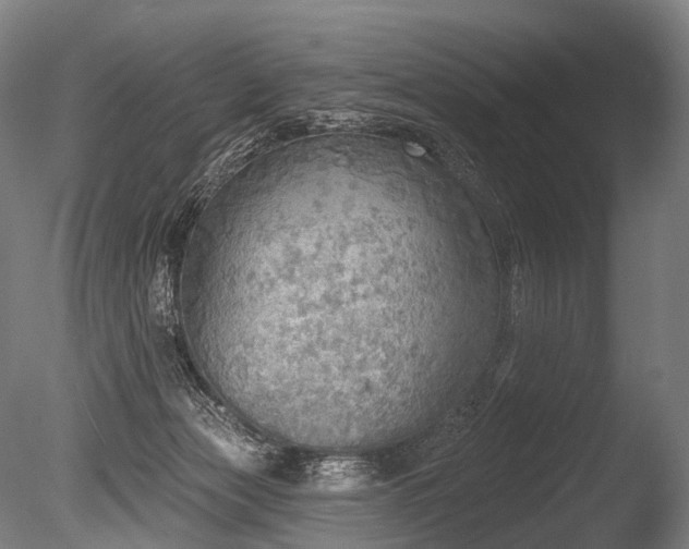 X0000086000173200703231154