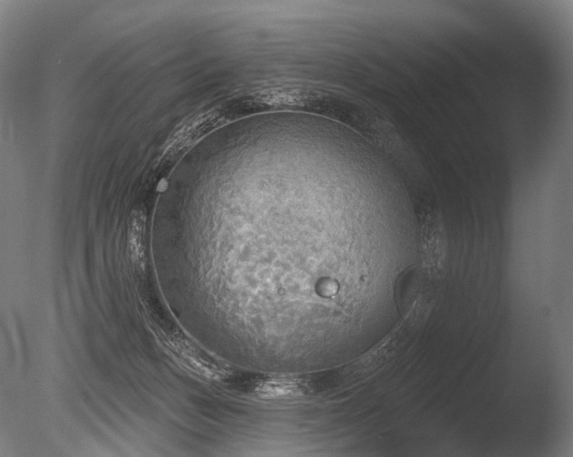 X0000086000175200703231154