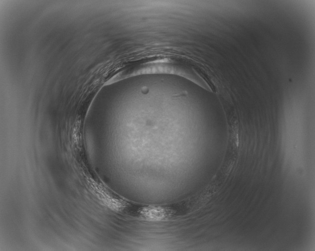 X0000086000181200703231155