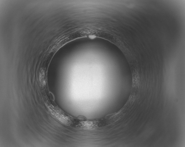 X0000086000187200703231155