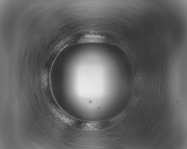 X0000086000188200703231155