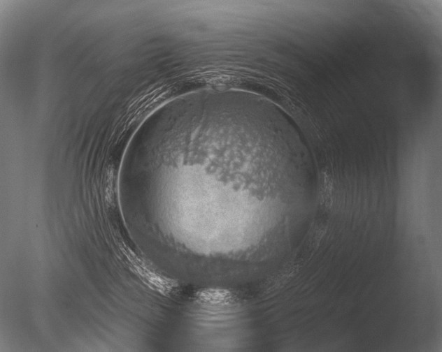 X0000086000189200703231155