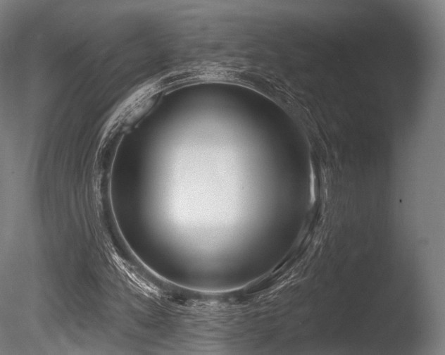 X0000086000197200703231154