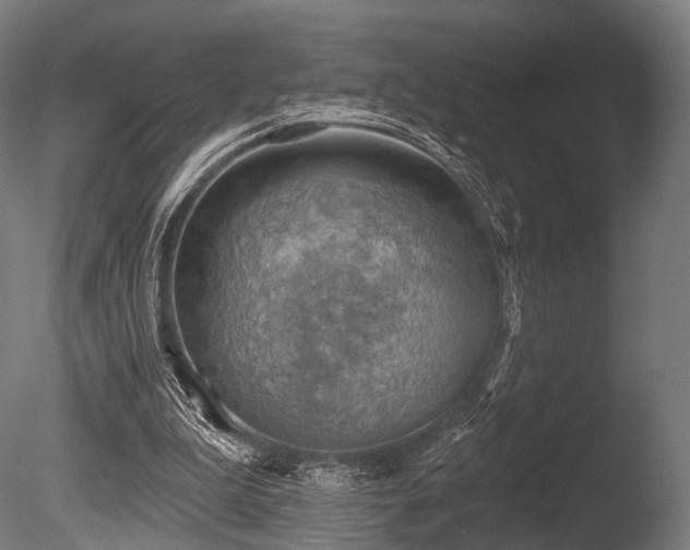 X0000086000199200703231154