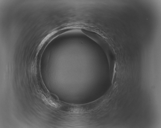 X0000086000200200703231154