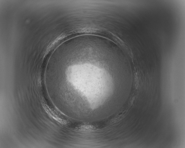 X0000086000203200703231154