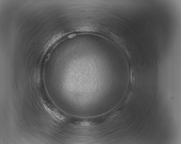 X0000086000204200703231154