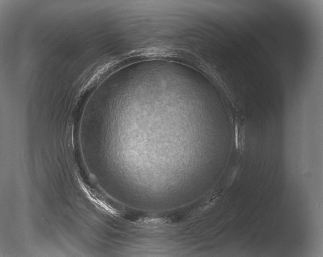 X0000086000205200703231154