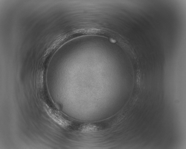 X0000086000206200703231154