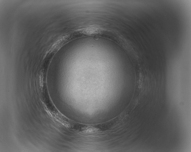 X0000086000210200703231154