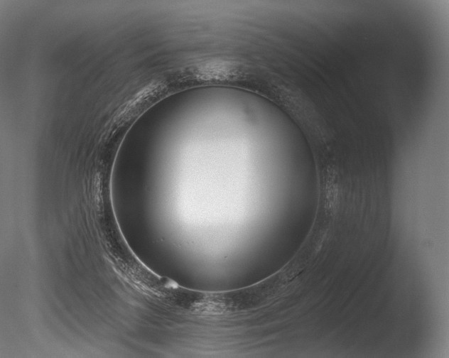 X0000086000211200703231154