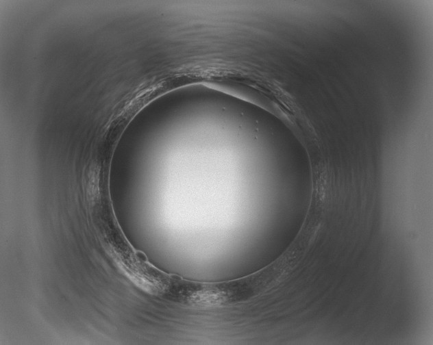 X0000086000213200703231154