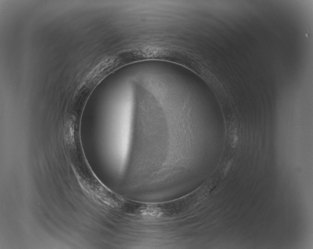 X0000086000214200703231154