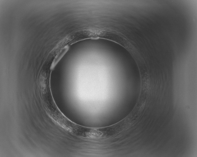 X0000086000215200703231154