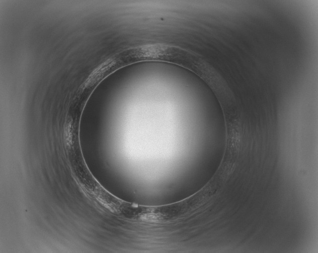 X0000086000216200703231154