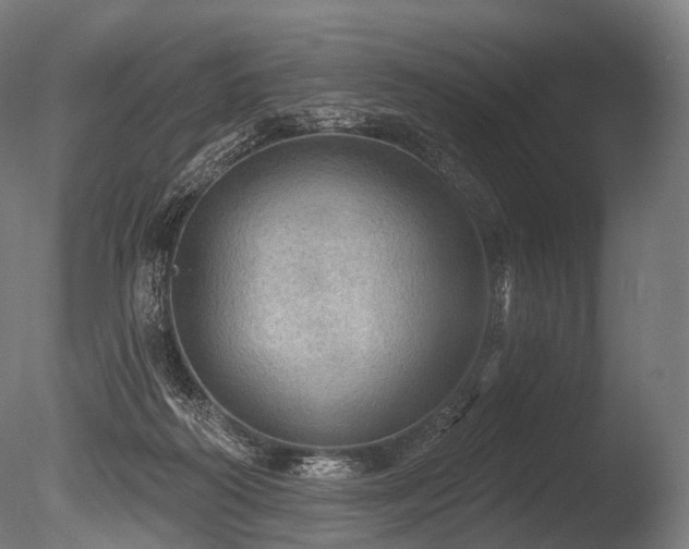 X0000086000218200703231154