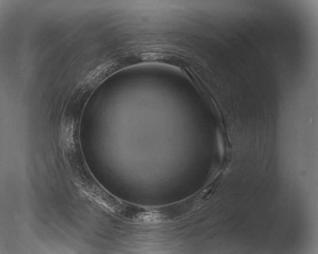 X0000086000219200703231154